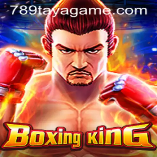 Exploring the Exciting World of BoxingKing